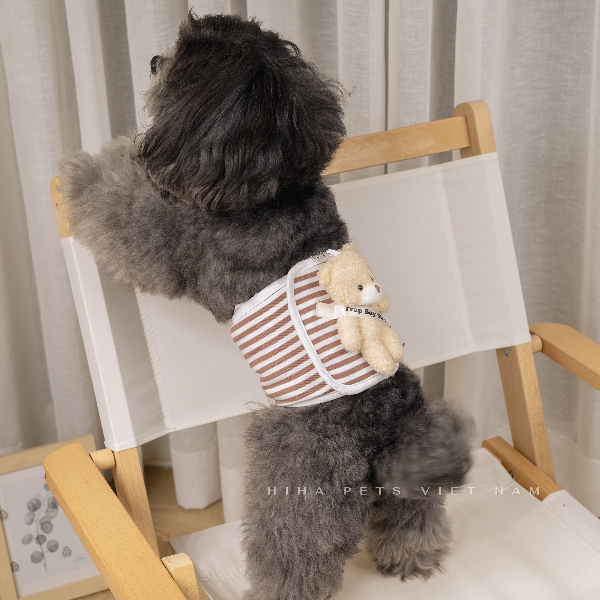 z5671203217269_b30d8ed213a38cd2761df317b66017e6