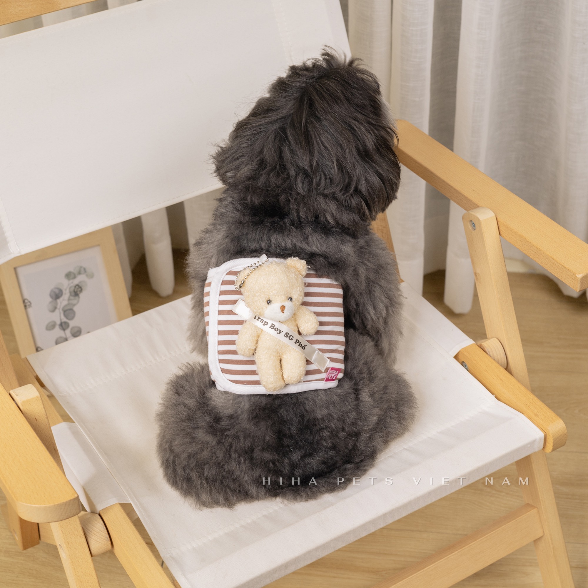 z5671203228415_5c9653ca22d345f98f4872573f4826bc