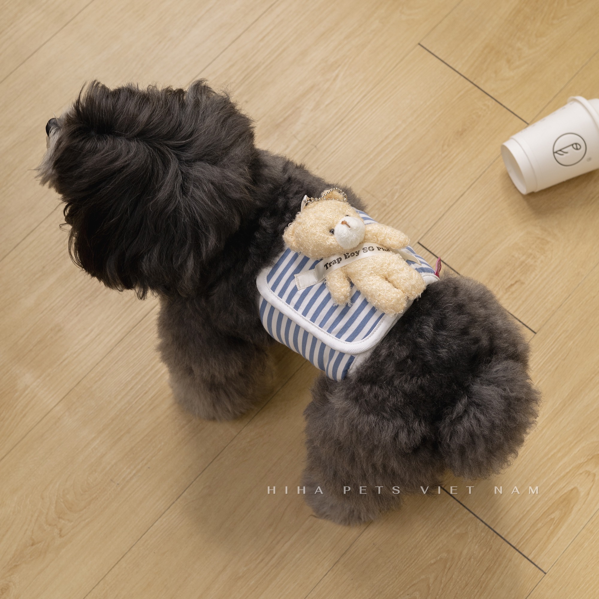 z5671203230195_2f6d38315748ba9a111ea57c7d2c6838