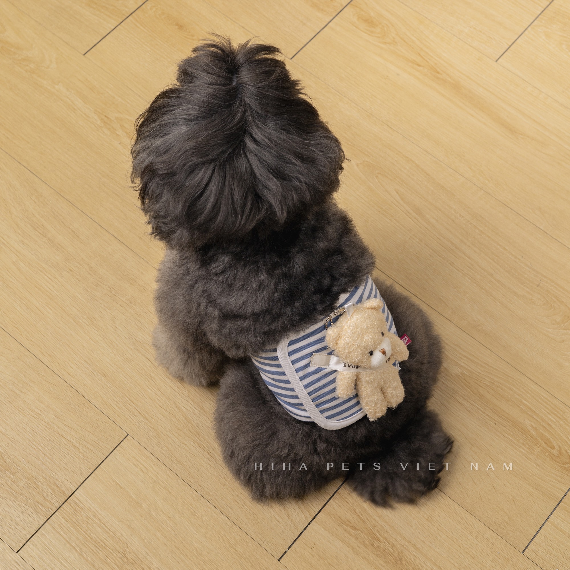 z5671203254966_a47be7dc55dccf1ba7789cb569696955