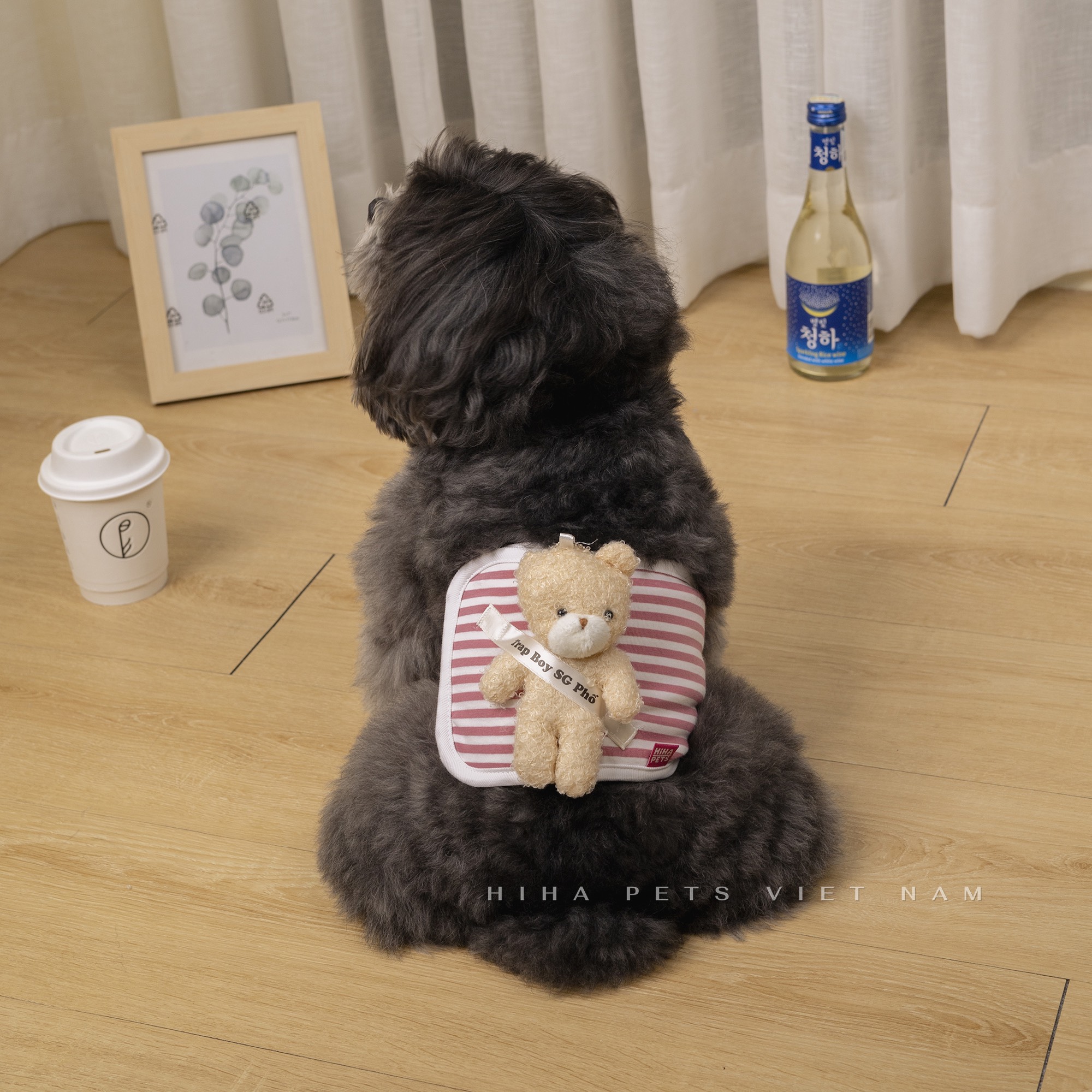 z5671203297356_347dd74d2f15e0a8dc7b509073f99b6f