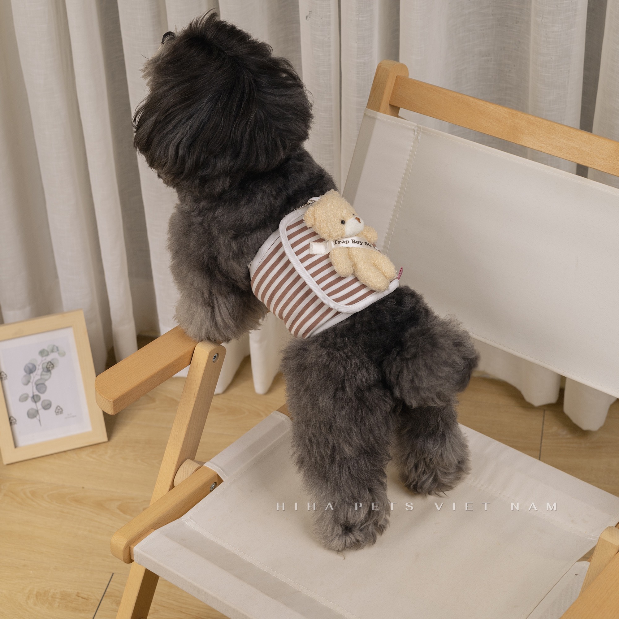 z5671203328094_66630695ec9faf06395e6ebd35ebc122