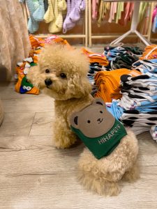 z5671203384845 cda271c72b6b53cd380b5a2093e69afd