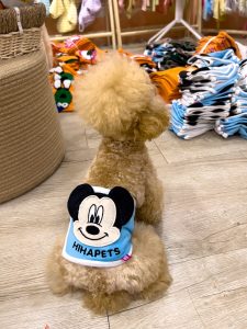 z5671203390281 28fb016b9d88e36fac4afda5a3edb640