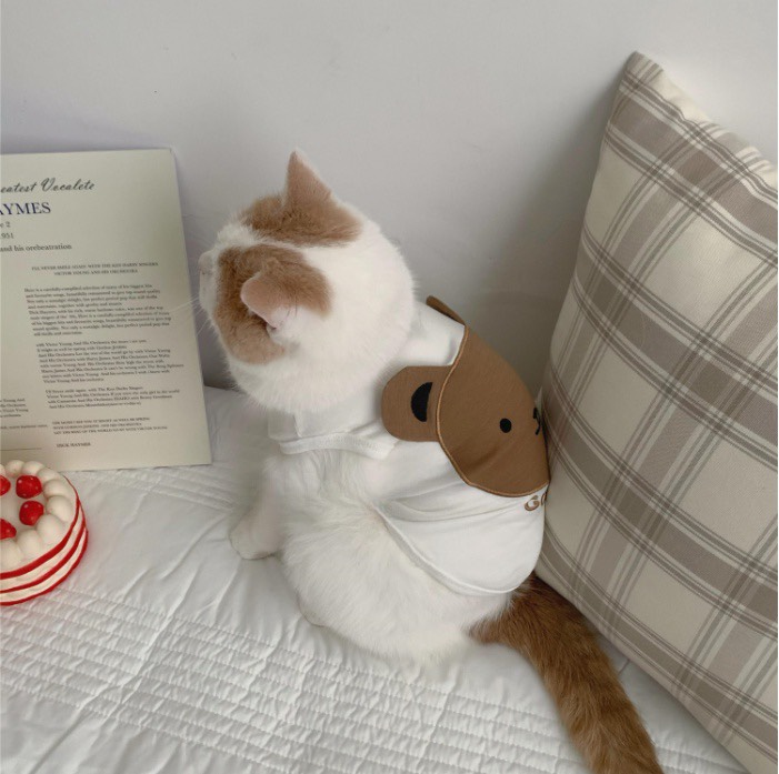 z5671490227999_c8c028a7e31a0846c5d17731ff9b84bc