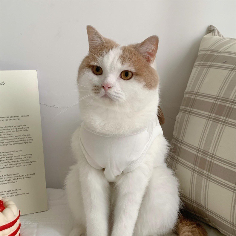 z5671490234526_23e3b43127f342fd0ce0b26837a451d5