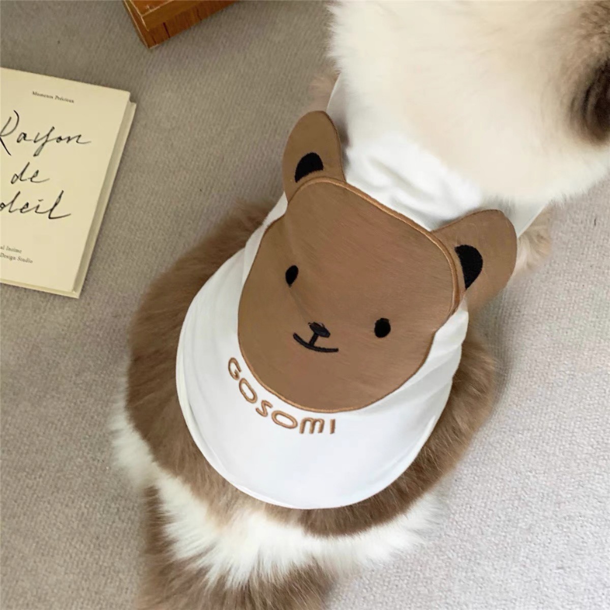 z5671490241256_87b3c34328e4d7f4affd897c92bfb9bd