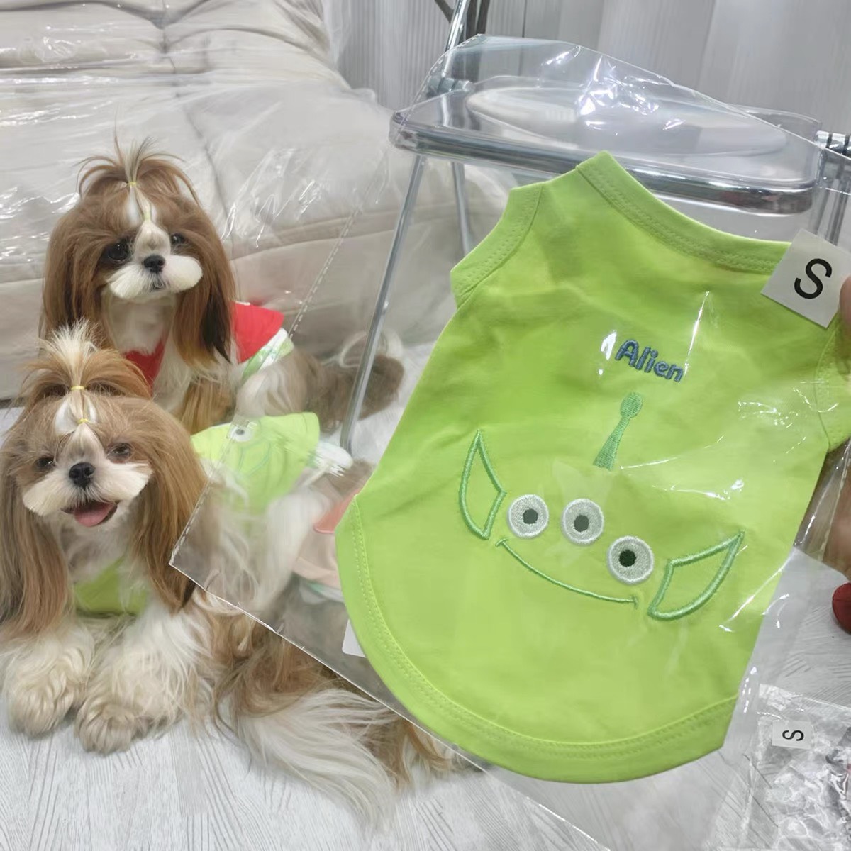 z5671490246210_e1276c4bee41087ad54d489ab61e2851