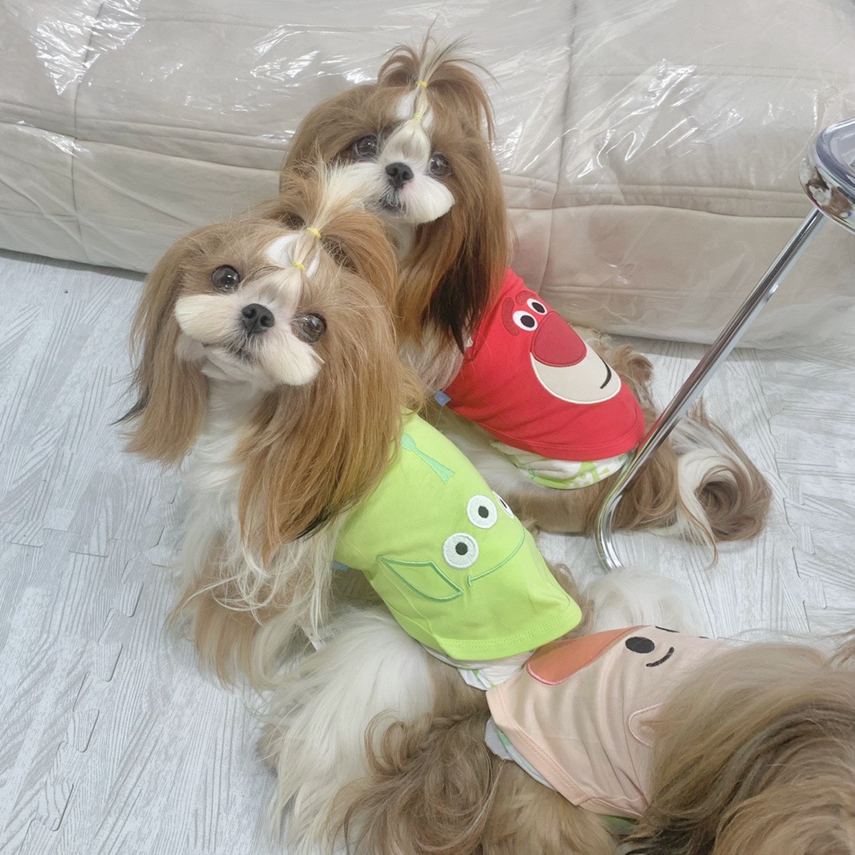 z5671490322652_ad698c21f92882078a788fea864e5b55