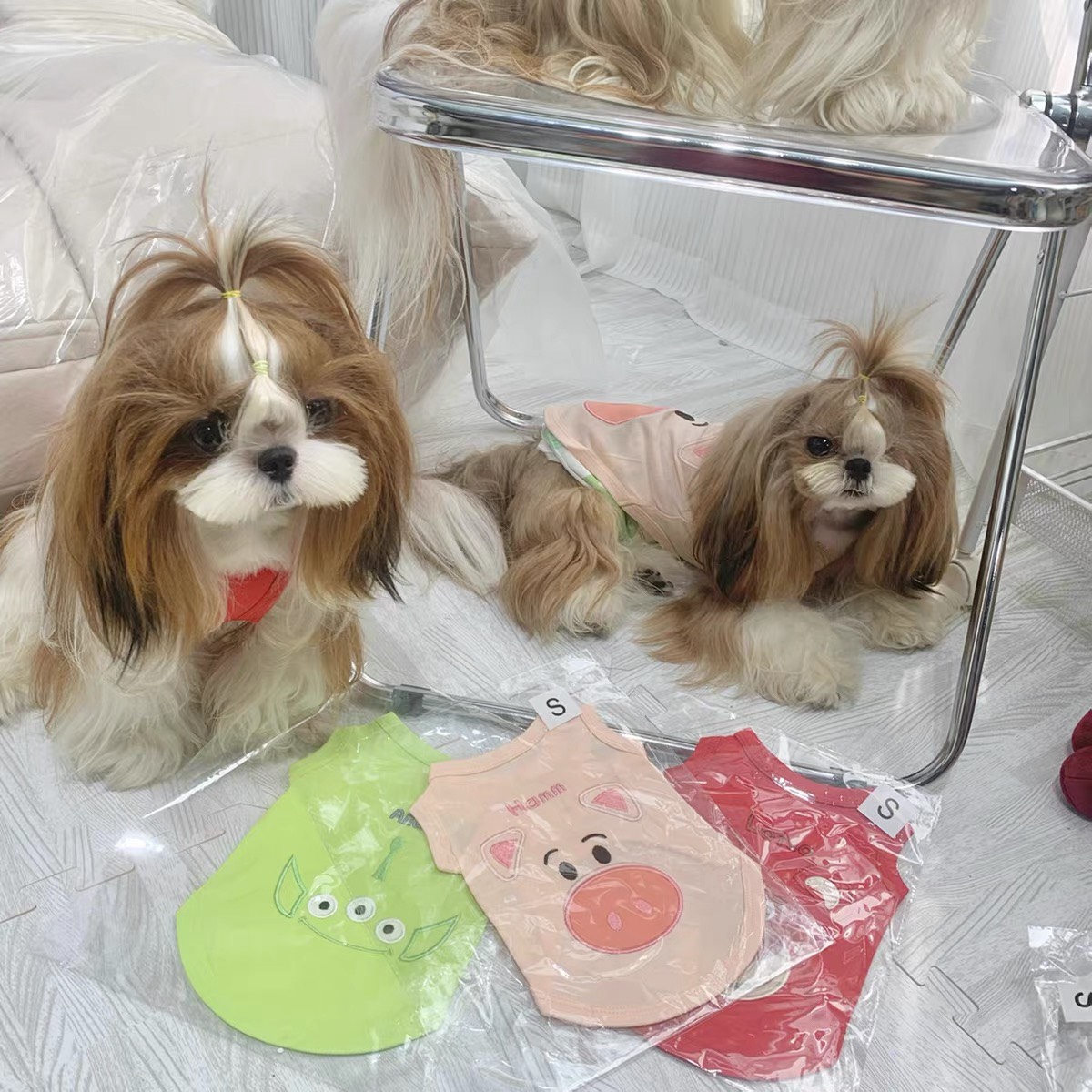 z5671490383923 3c043cd47f4c0f4f6be3ed7cfd199f4b