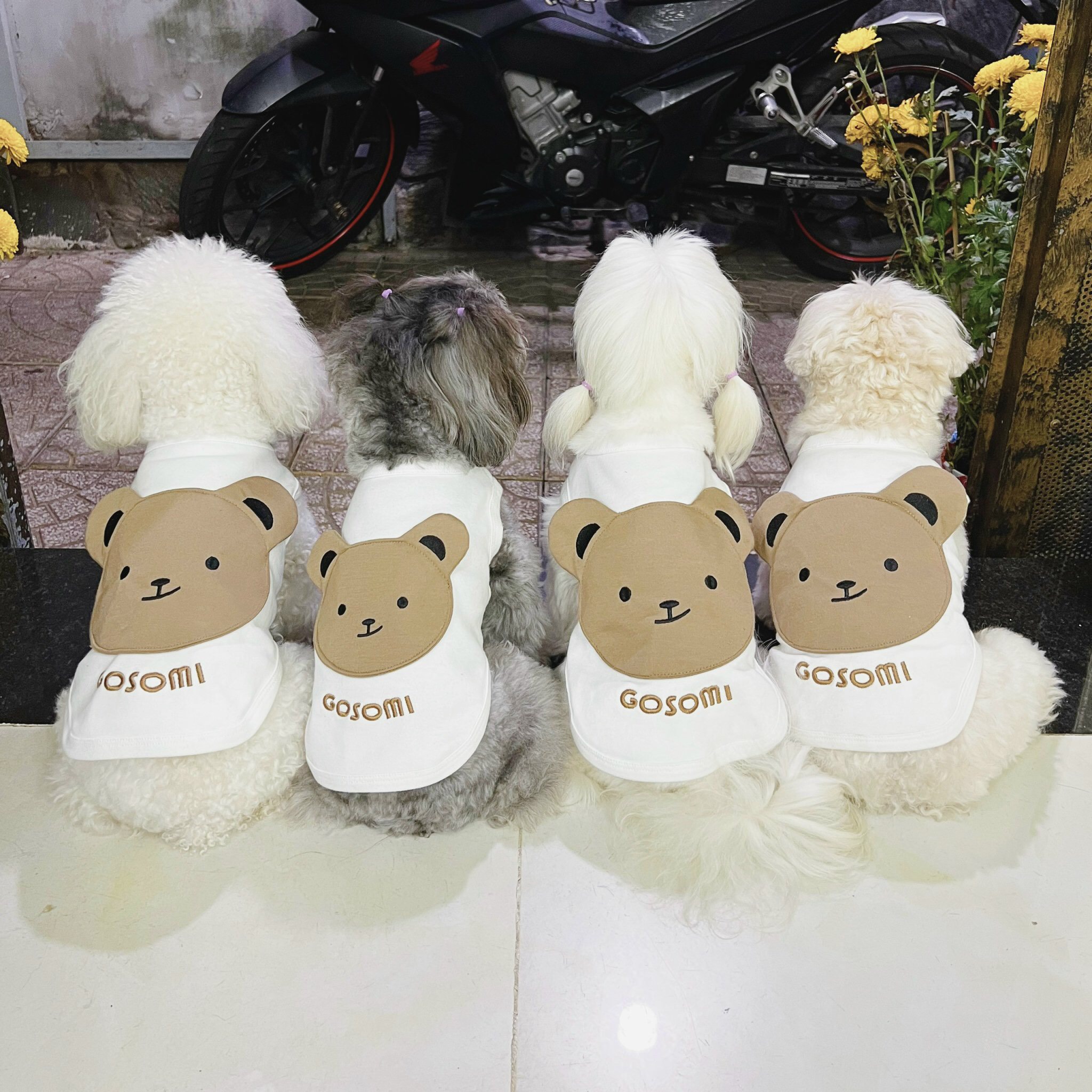 z5671511118141_d4da219980b312d20278ecd373d591d2