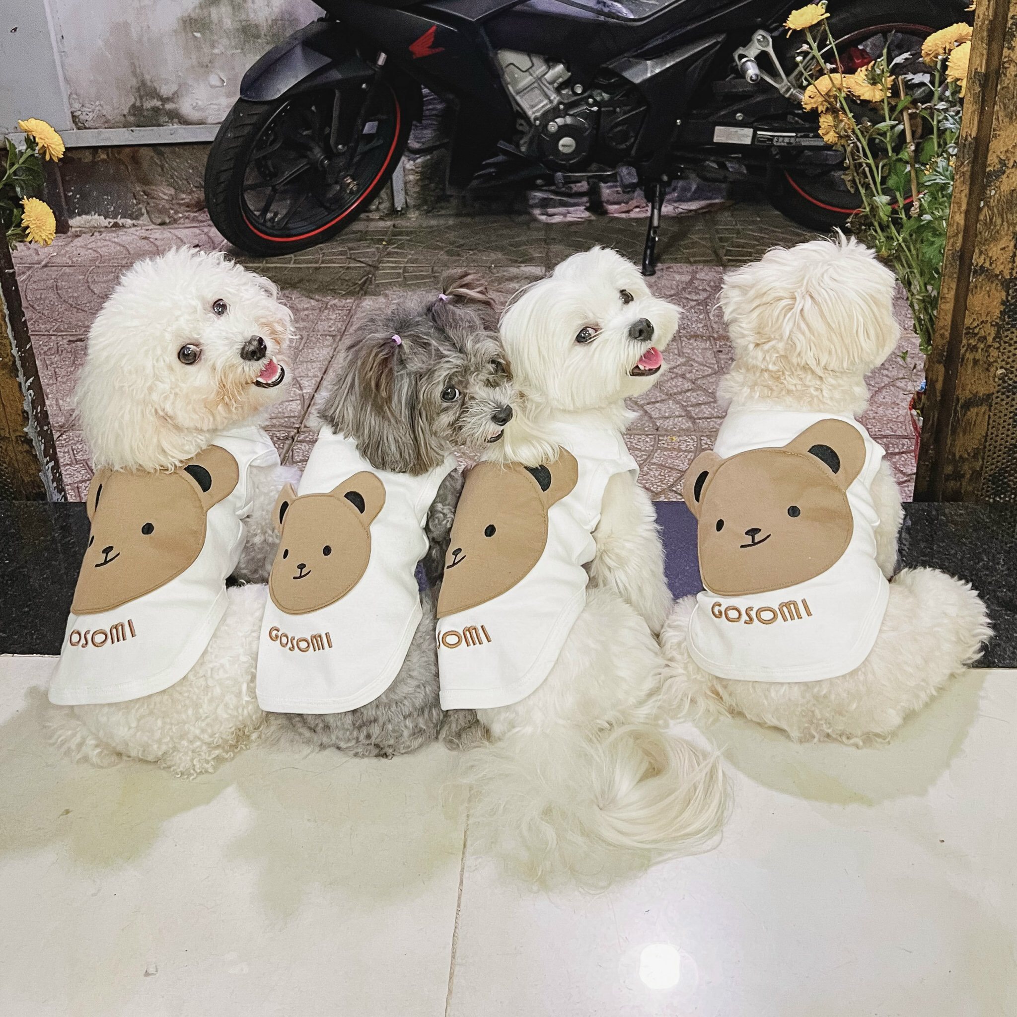 z5671511125401_c6506f09ccb6345cb73deb8b6e027792