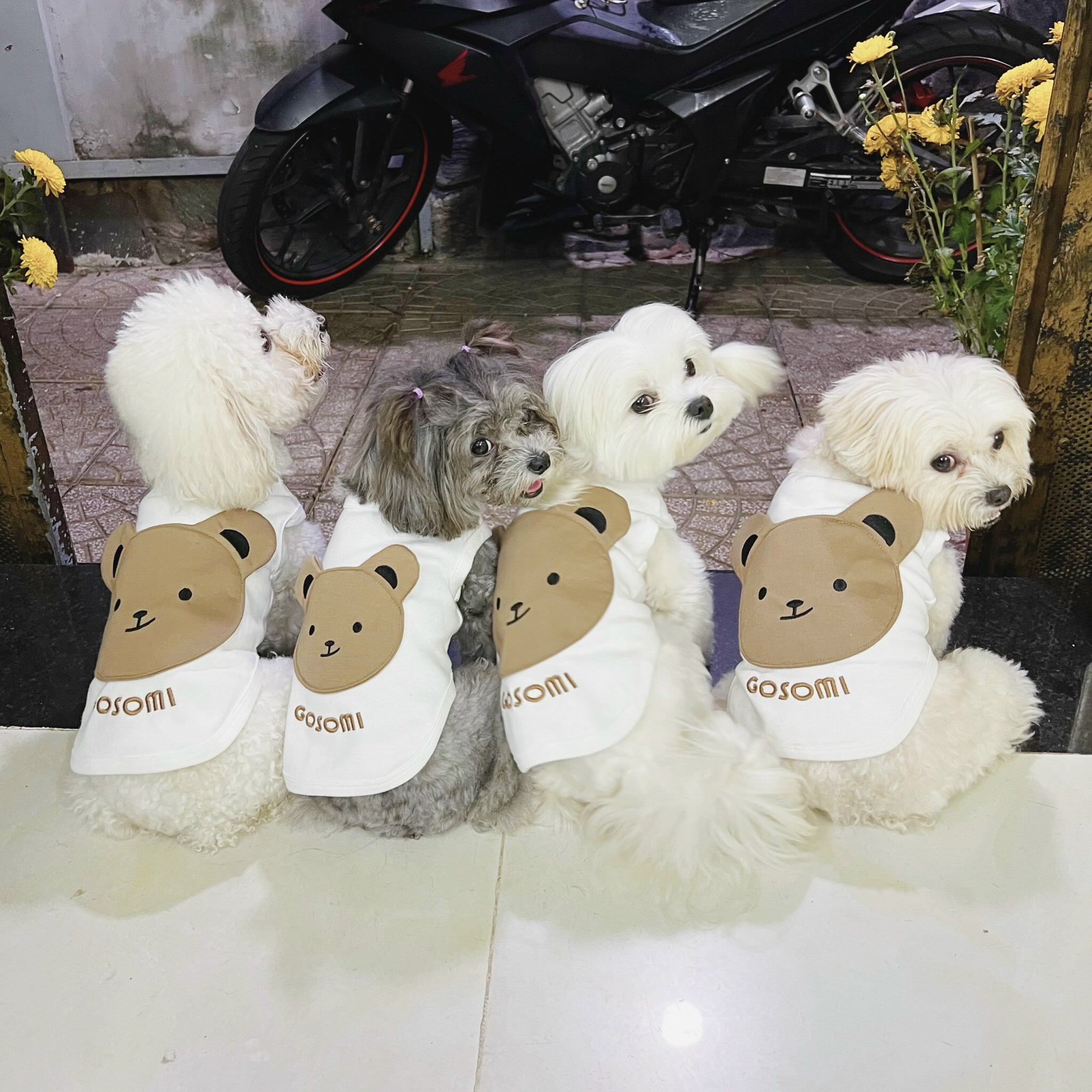 z5671511144884_7a69f24f199ec847a78156a10616323b